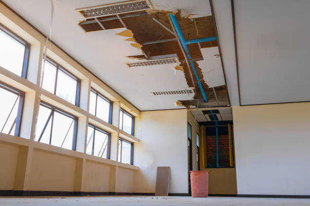 Best Carpet water damage restoration  in Bradley, IL