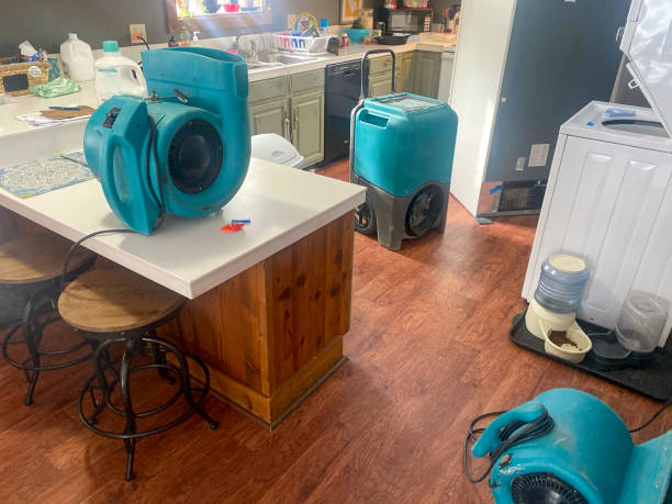 Best Water damage restoration cost  in Bradley, IL