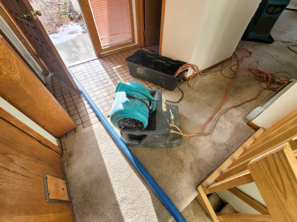 Best Water damage restoration near me  in Bradley, IL