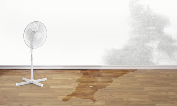 Best Flooded house restoration  in Bradley, IL