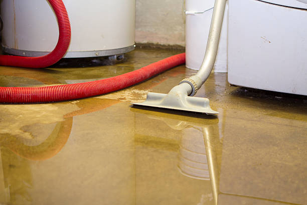 Best 24/7 water damage repair  in Bradley, IL