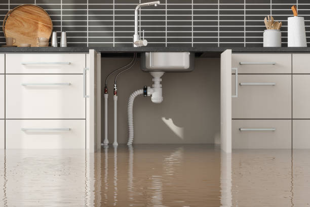 Best Sewage cleanup and water damage restoration  in Bradley, IL