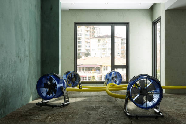 Best Carpet water damage restoration  in Bradley, IL