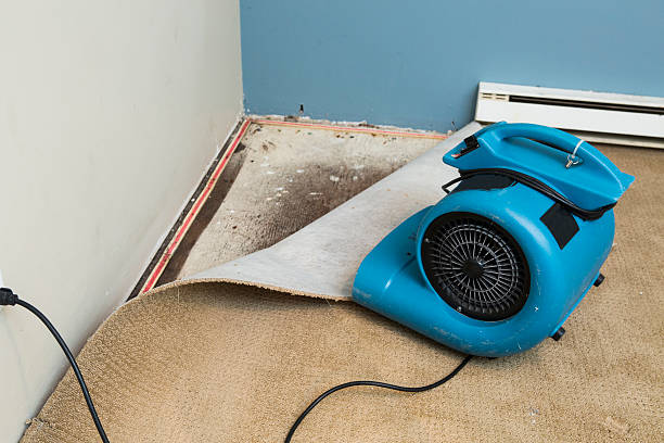 Best 24-hour water damage restoration  in Bradley, IL