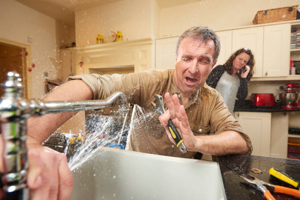 Best Professional water damage repair  in Bradley, IL
